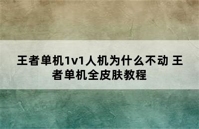 王者单机1v1人机为什么不动 王者单机全皮肤教程